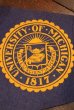 画像2: dp-221101-35 University of Michigan / Vintage Pennant (2)