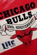 画像2: dp-221101-29 CHICAGO BULLS × Lite BEER / 1990-1991 Seat Cushion (2)