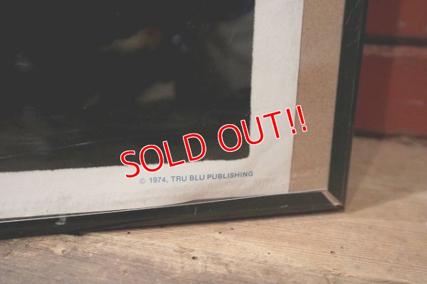 画像5: ct-221101-15 Road Runner & Wile E. Coyote / 1974 Black Light Poster