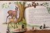 画像2: ct-221101-70 Bambi / 1970's 24 Page Read Along Book and Tape (2)