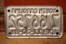 画像4: dp-230101-91 SOUTH CAROLINA / 1980's License Plate (4)