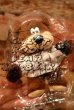 画像1: ct-230101-21 A&W / Great Root Bear 2003 mini Plush Doll (1)