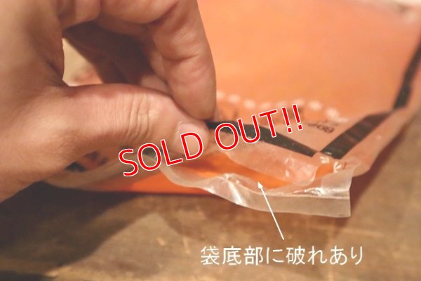 画像10: ct-230201-24 Wile E. Coyote / DAKIN 1968 Figure