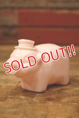 ct-221101-94 1950's-1960's Plastic Piggy Bank