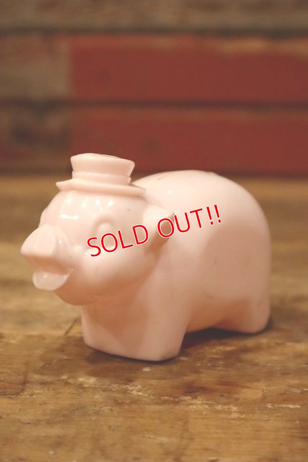画像1: ct-221101-94 1950's-1960's Plastic Piggy Bank