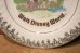 画像3: ct-230301-61 Walt Disney World / Late 1970's-1980's Souvenir Plate