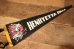 画像1: dp-230301-100 HENRYETTA OKLA / Vintage Pennant (1)