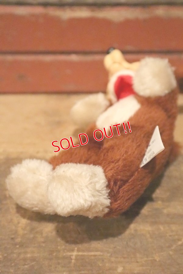 画像6: ct-230414-29 Wile E. Coyote / 1977 Rubber Face Doll