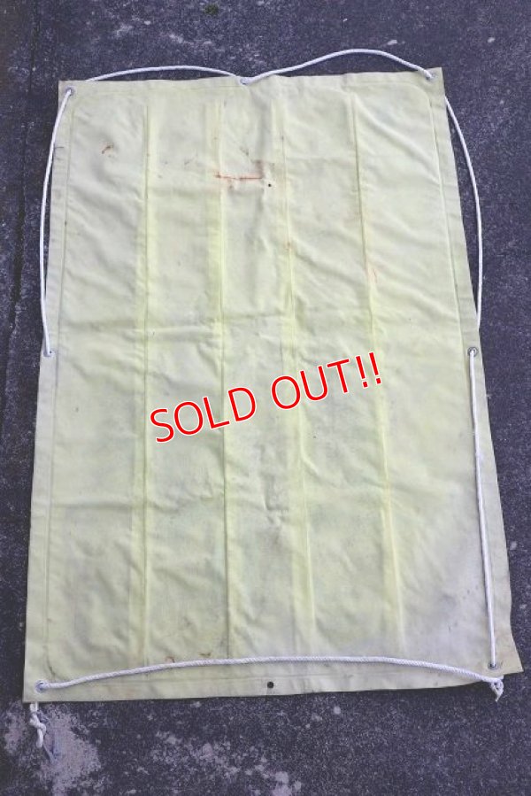 画像9: ct-230401-02 Hawaiian Punch / Punchy 1970's-1980's Raft Float