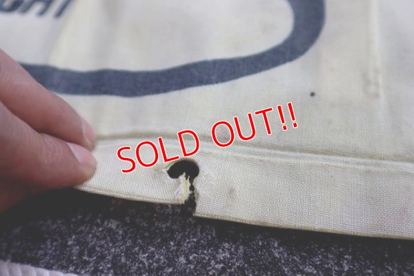 画像7: ct-230401-02 Hawaiian Punch / Punchy 1970's-1980's Raft Float