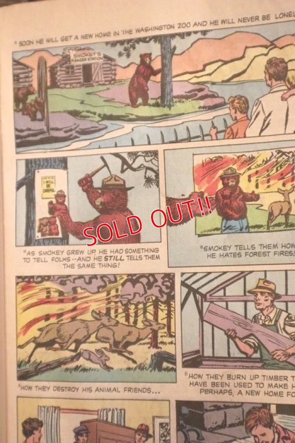 画像5: ct-150217-08 Smokey Bear / The True Story of Smokey Bear 1969 Comic