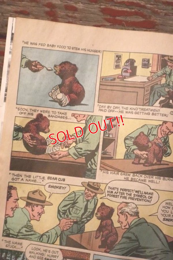 画像4: ct-150217-08 Smokey Bear / The True Story of Smokey Bear 1969 Comic