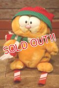 ct-230503-02 Garfield / DAKIN 1980's Plush Doll "Ski"