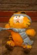 画像1: ct-230503-02 Garfield / DAKIN 1980's Plush Doll "Ski" (1)