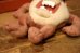 画像6: ct-230503-01 Tasmanian Devil / 1990's Plush Doll