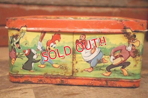画像8: ct-230601-17 Woody Woodpecker / ALADDIN 1972 Metal Lunch Box