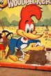 画像2: ct-230601-17 Woody Woodpecker / ALADDIN 1972 Metal Lunch Box (2)