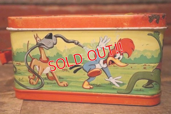 画像7: ct-230601-17 Woody Woodpecker / ALADDIN 1972 Metal Lunch Box