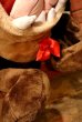 画像3: ct-230503-01 Tasmanian Devil / ACE NOVELTY COMPANY 1996 Huge Plush Doll