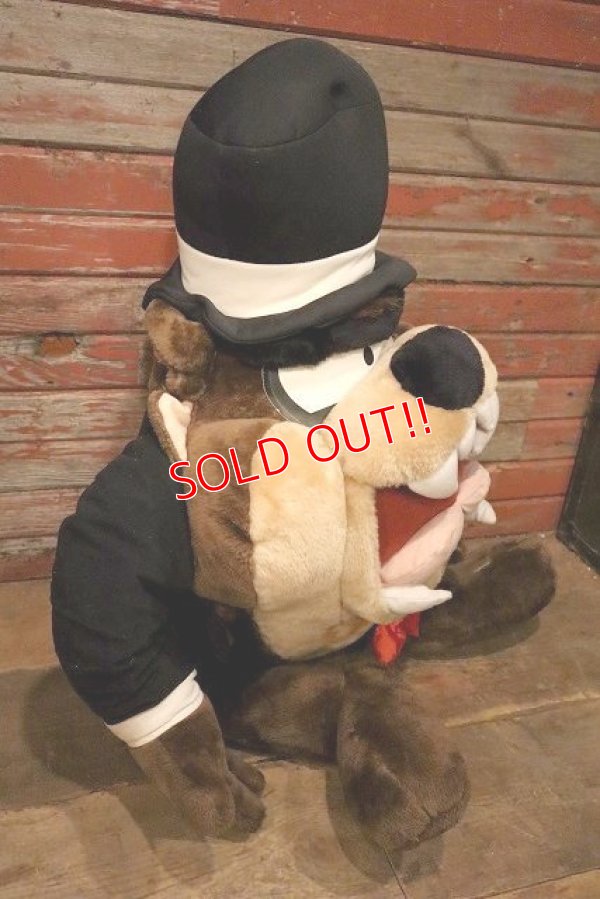 画像4: ct-230503-01 Tasmanian Devil / ACE NOVELTY COMPANY 1996 Huge Plush Doll