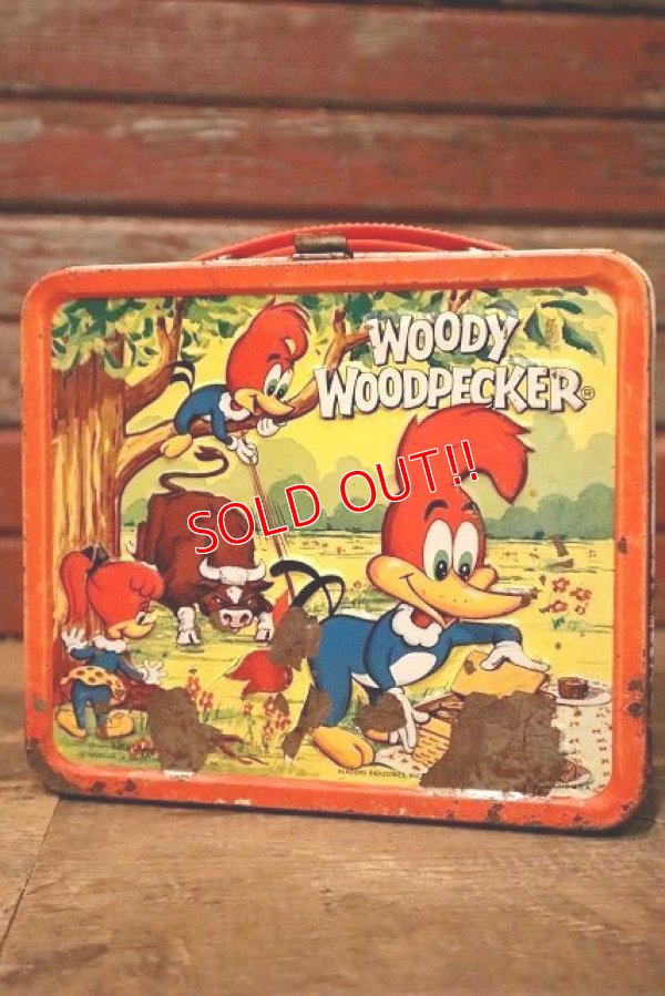 画像1: ct-230601-17 Woody Woodpecker / ALADDIN 1972 Metal Lunch Box