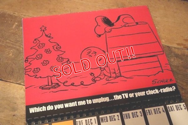 画像10: ct-230601-08 PEANUTS / 1970's DATE BOOK (Calendar)