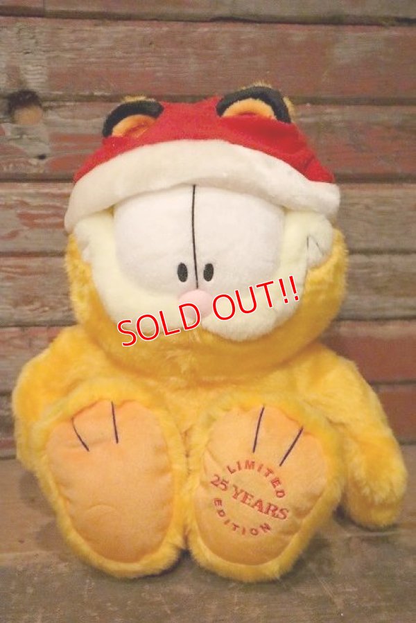 画像1: ct-230503-02 Garfield / 2003 25th Years Limited Edition Plush Doll