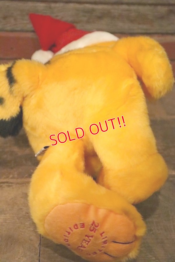 画像8: ct-230503-02 Garfield / 2003 25th Years Limited Edition Plush Doll