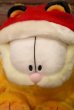 画像2: ct-230503-02 Garfield / 2003 25th Years Limited Edition Plush Doll (2)