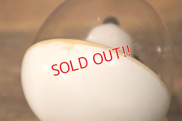 画像9: ct-230724-09 Snoopy / 1969 Astronauts Snoopy Doll