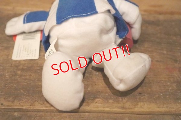 画像6: ct-230701-41 HAWAIIAN PUNCH / 1990's Bean Bag Doll