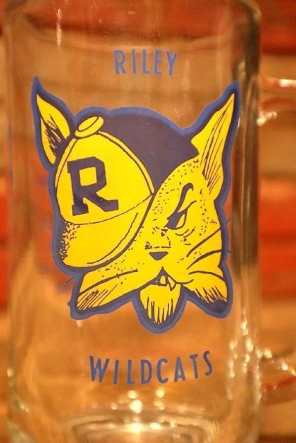 画像2: gs-230608-01 Riley High School / Wildcats 1980's Beer Mug
