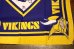 画像3: dp-230809-24 Minnesota Vikings / Bandana (3)