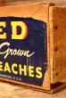 画像3: dp-210601-04 UNITED COLORADO PEACHES / Vintage Wood Box