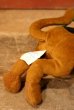 画像7: ct-230701-37 Scooby-Do / Applause 1999 Plush Doll