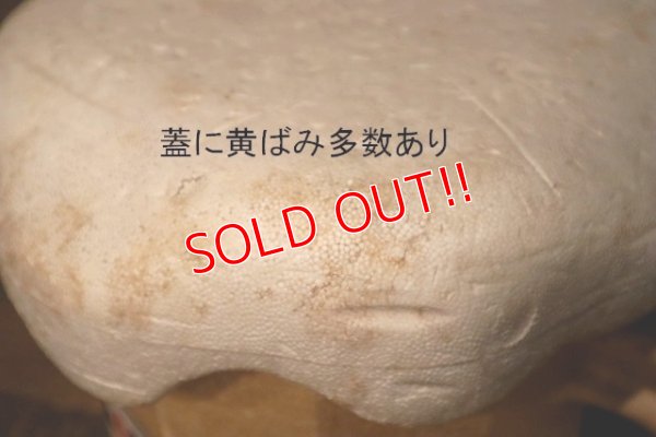 画像9: nt-230907-15 A&W / 1970's-1980's Styrofoam Beer Mug Cooler Box