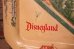 画像2: ct-231001-42 Disneyland / 1995 Park Map Tin Tray (2)