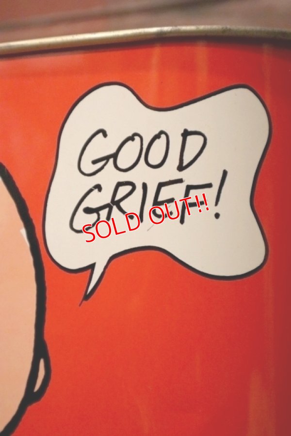 画像6: ct-231001-58 Snoopy & Charlie Brown / CHEINCO 1970's Trash Can (Red)