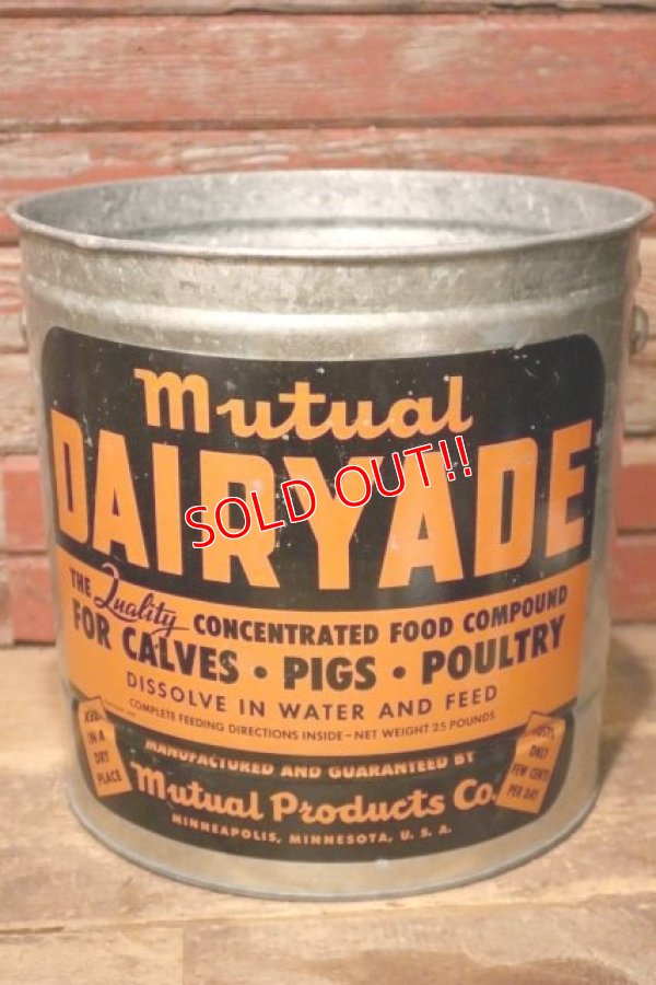 画像1: dp-231101-04 Mutual DAIRYADE / 1940's-1950's Galvanized Bucket