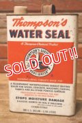dp-230901-120 Thompson's WATER SEAL / Vintage U.S. One Gallon Can