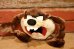 画像1: ct-230503-01 Tasmanian Devil / Applause 1994 Plush Doll (1)