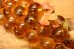 画像2: dp-231211-06 1960's-1970's Resin Grapes  "Amber" (2)