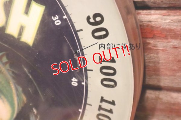 画像5: dp-231211-03 KING FISH / California GREEN ASPARAGUS Thermometer