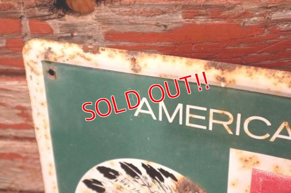 画像4: dp-240101-01 RED MAN CHEWING TOBACCO / 1950's〜 Metal Sign