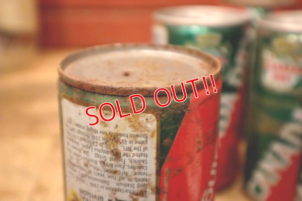 画像15: ct-240101-63 CANADA DRY Ginger Ale / 1970's NFL Team Can Set of 6