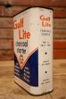 画像4: dp-240207-07 Gulf / Gulf Lite Charcoal starter U.S. One Quart Can