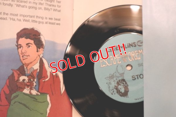 画像6: ct-240214-158 GREMLiNS / 1980's Read-Along Record Story 3