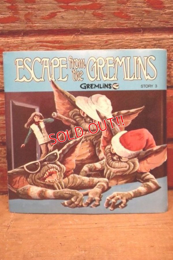 画像1: ct-240214-158 GREMLiNS / 1980's Read-Along Record Story 3