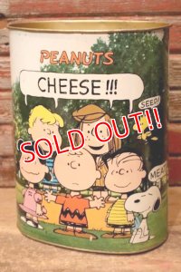 ct-240101-12 PEANUTS / CHEINCO 1960's-1970's Trash Can