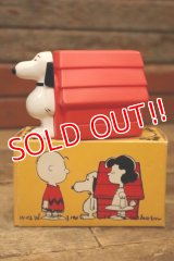 ct-210701-19 Snoopy and Doghouse / AVON 1970's Non-Tear Shampoo Bottle (Box)